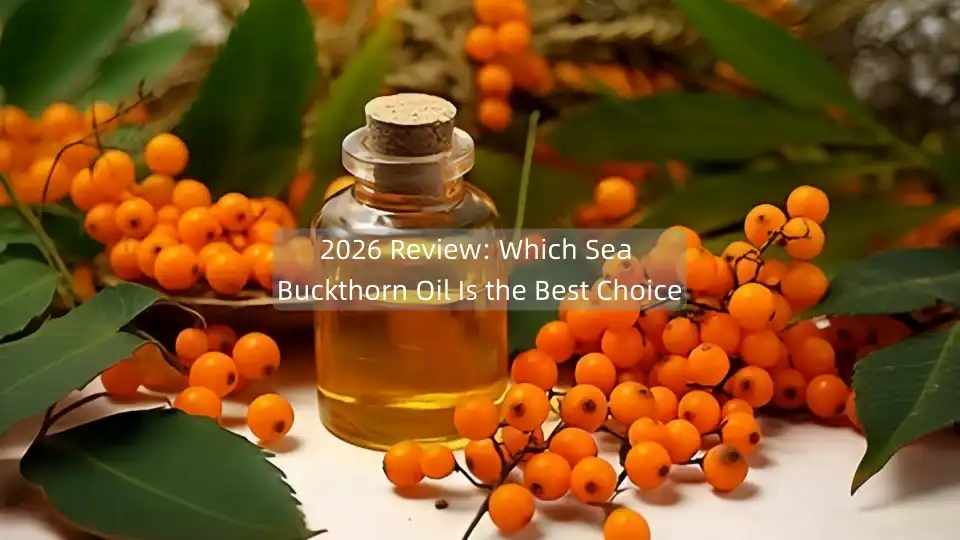2026 Review: Which Sea Buckthorn Oil Is the Best Choice